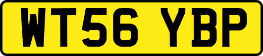 WT56YBP