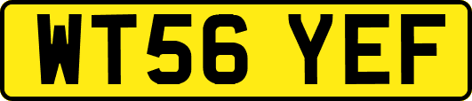 WT56YEF