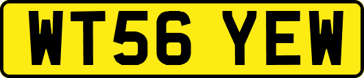 WT56YEW