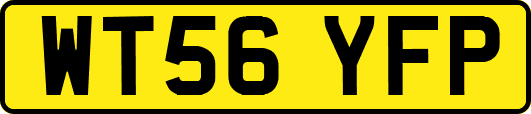 WT56YFP