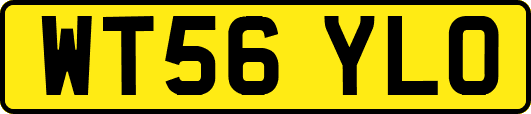 WT56YLO
