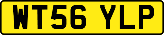 WT56YLP