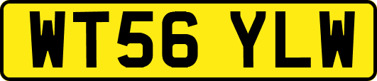 WT56YLW