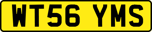 WT56YMS