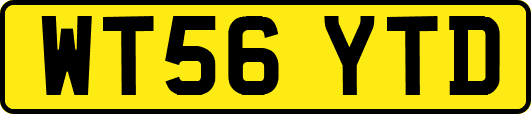 WT56YTD