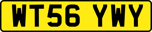 WT56YWY