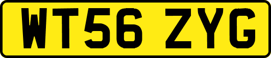 WT56ZYG