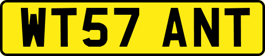 WT57ANT
