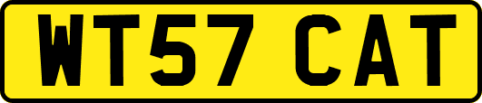 WT57CAT