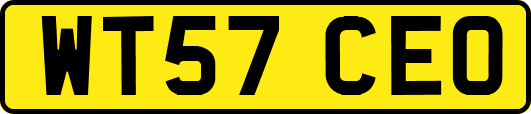 WT57CEO