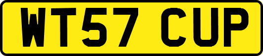 WT57CUP