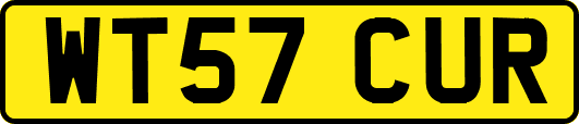 WT57CUR