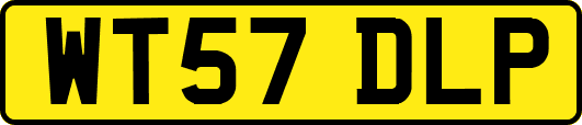 WT57DLP