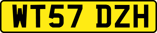 WT57DZH