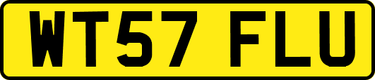 WT57FLU