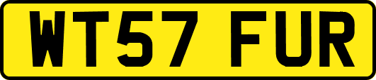 WT57FUR