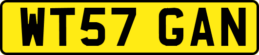 WT57GAN