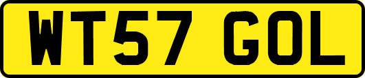 WT57GOL