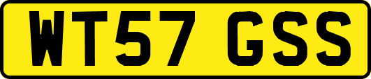 WT57GSS