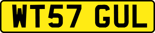 WT57GUL