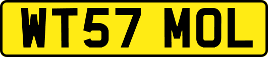 WT57MOL