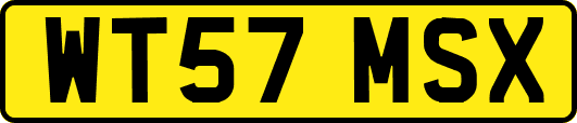 WT57MSX