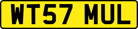 WT57MUL
