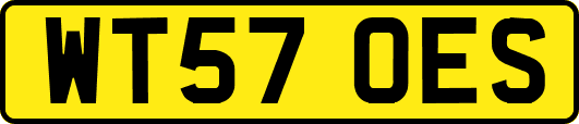 WT57OES