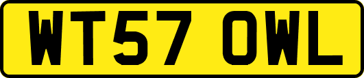WT57OWL