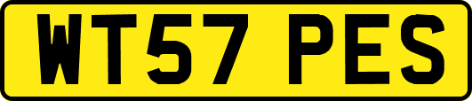 WT57PES