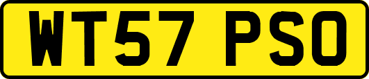 WT57PSO