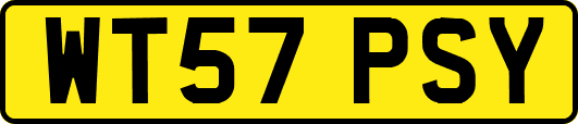 WT57PSY