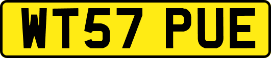 WT57PUE