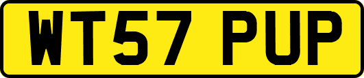 WT57PUP