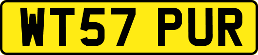 WT57PUR