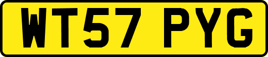 WT57PYG