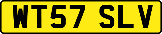 WT57SLV
