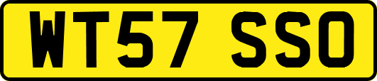WT57SSO