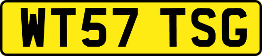 WT57TSG