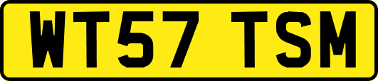 WT57TSM