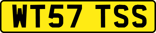 WT57TSS