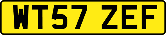 WT57ZEF