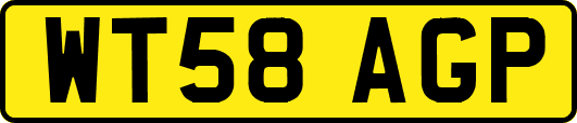 WT58AGP