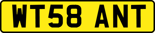 WT58ANT