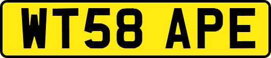 WT58APE