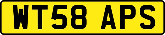 WT58APS