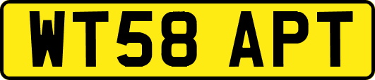 WT58APT
