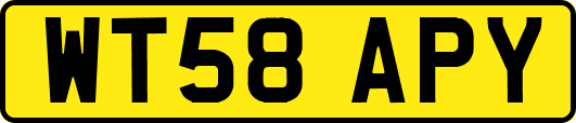 WT58APY