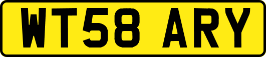 WT58ARY