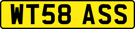 WT58ASS